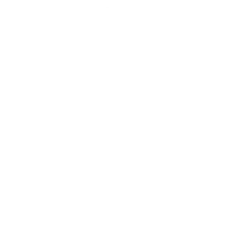 X icon
